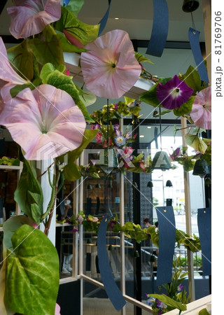 朝顔と風鈴の飾り 81769706