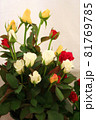 バラ　薔薇　花　花束　植物　Flower　 81769785