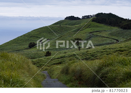 稲取細野高原 稲取細野高原 81770023