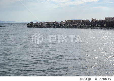 夕方の海岸 81770045