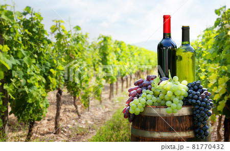 Red and white wine bottles and colorful grapes on wine barrel 81770432