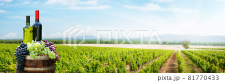 Red and white wine bottles and colorful grapes on wine barrel Red and white wine bottles and colorful grapes on wine barrel 81770433
