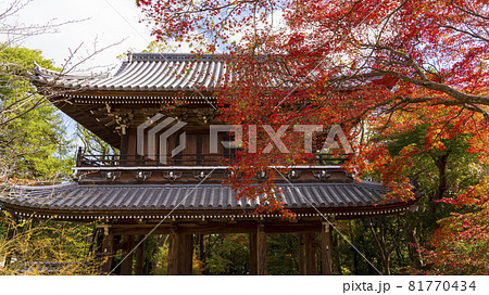 紅葉 テクスチャ 素材 功山寺 山口県 下関市の写真素材