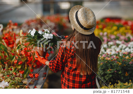 little girl working in a greenhouse little girl working in a greenhouse 81771548
