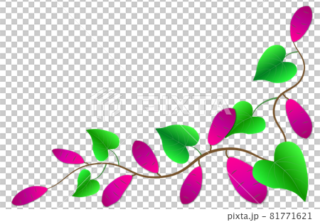 秋天的形象。紅薯框架材料。 81771621