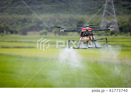Agriculture drones glide above rice fields spraying fertilizer. Farmers used a drone to spray fertilizer on rice fields. Agriculture technology concept Agriculture drones glide above rice fields spraying fertilizer. Farmers used a drone to spray fertilizer on rice fields. Agriculture technology concept 81773740