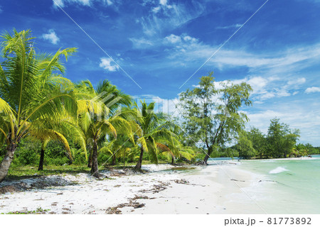 koh rong island beach in cambodia koh rong island beach in cambodia 81773892