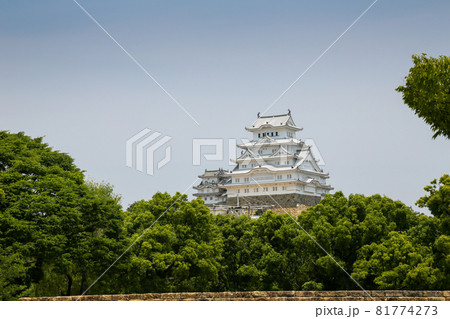 兵庫県　姫路市　姫路城　城見台公園からのぞむ 81774273