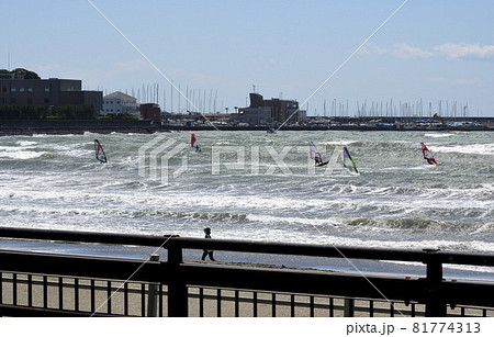 ウインドサーフィンの海辺 81774313