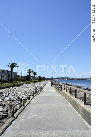 海辺の遊歩道 うみかぜの路 防潮堤 海辺の遊歩道 うみかぜの路 防潮堤 81774323