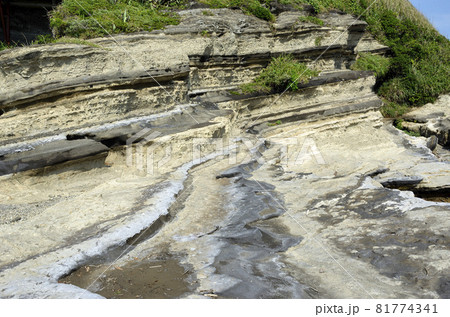 地層の造形　岩礁海岸 81774341