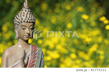 Buddha Statue With Field of Yellow Flowers in Background Buddha Statue With Field of Yellow Flowers in Background 81775211