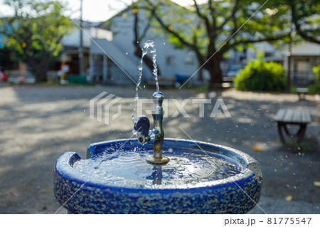 朝の住宅街にある公園の水飲み水栓から出る水と小さな水しぶき 朝の住宅街にある公園の水飲み水栓から出る水と小さな水しぶき 81775547