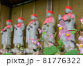 秋海棠とお地蔵さん 81776322