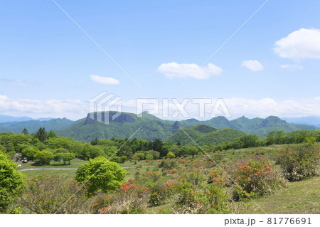レンゲつつじが咲く内山牧場から眺める荒船山 81776691