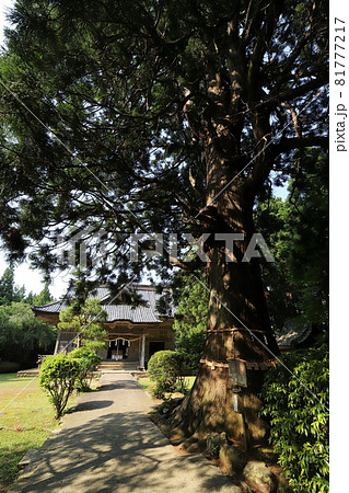 新潟 佐渡 牛尾神社 新潟 佐渡 牛尾神社 81777217