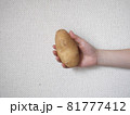 ジャガイモ 81777412