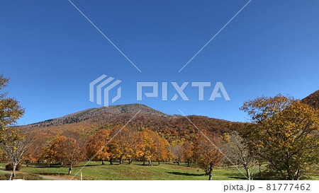 山の麓から大きく見える青空 山の麓から大きく見える青空 81777462