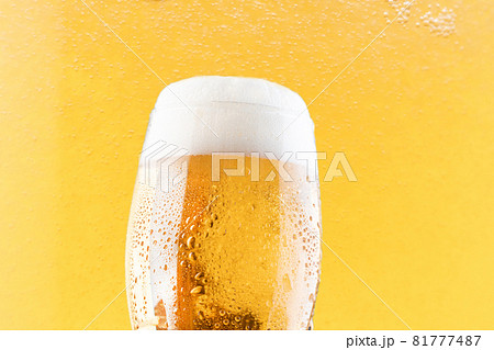 ビール　乾杯　泡 81777487