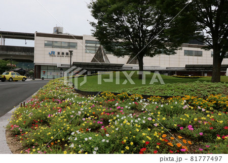 舞鶴線　東舞鶴駅 81777497