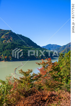 神流湖　下久保ダム　展望台付近からの景色　秋の風景　紅葉の季節　　 81777592