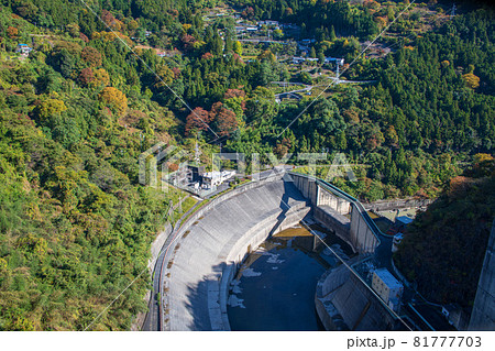 下久保ダム　天端からダム下の景色　秋の風景　紅葉の季節　　 81777703