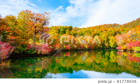 鎌池の紅葉 鎌池の紅葉 81778036