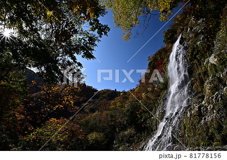 天滝の紅葉 天滝の紅葉 81778156