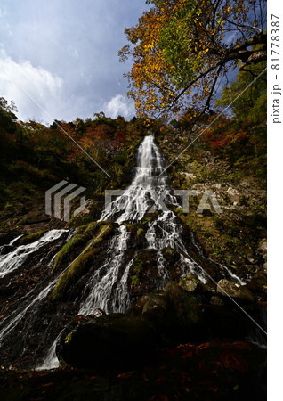 天滝の紅葉 天滝の紅葉 81778387