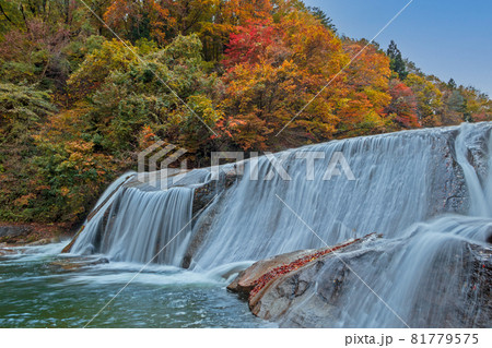 紅葉の滑津大滝＜宮城県＞ 81779575