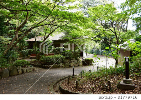 神奈川県立大磯城山公園　旧三井別邸地区南門周辺散策路深緑と管理事務所 81779716