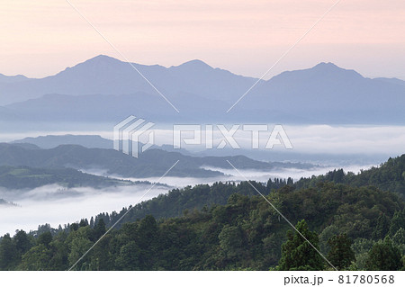 新潟県長岡市山古志地区　雲海の上に浮かぶ優しい雰囲気の越後三山 81780568