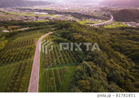 長野県上田市街の夜景と上田ローマン橋 81781851