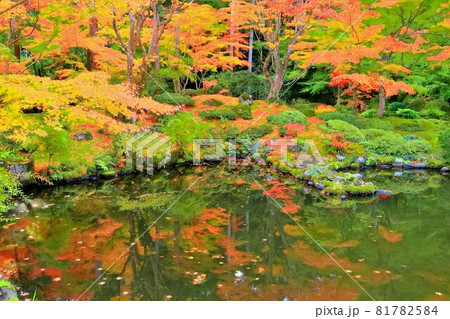 紅葉の日本庭園 紅葉の日本庭園 81782584