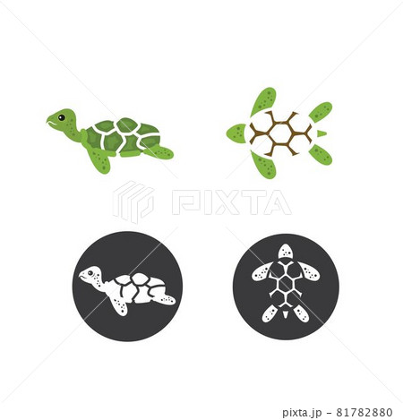 turtle icon vector illustration 81782880