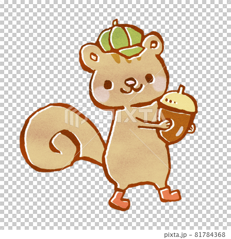 Illustration of a baby squirrel holding an acorn Illustration of a baby squirrel holding an acorn 81784368