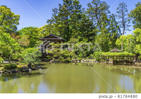 京都御苑 九条池 京都御苑 九条池 81784880