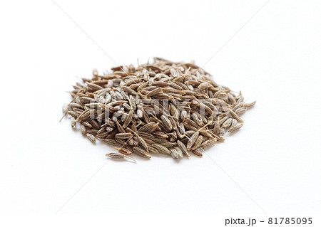 クミンシード クミンシード 81785095
