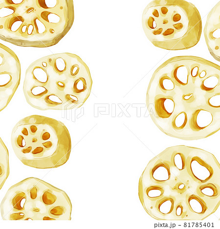 手描き水彩の輪切りれんこん正方形フレーム・左右 手描き水彩の輪切りれんこん正方形フレーム・左右 81785401