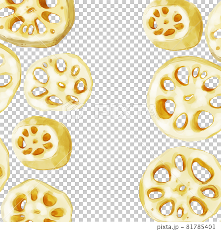 手描き水彩の輪切りれんこん正方形フレーム・左右 手描き水彩の輪切りれんこん正方形フレーム・左右 81785401