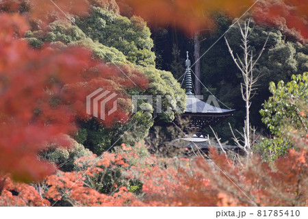 永観堂　禅林寺　多宝塔 81785410