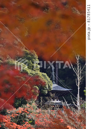 永観堂　禅林寺　多宝塔 81785411
