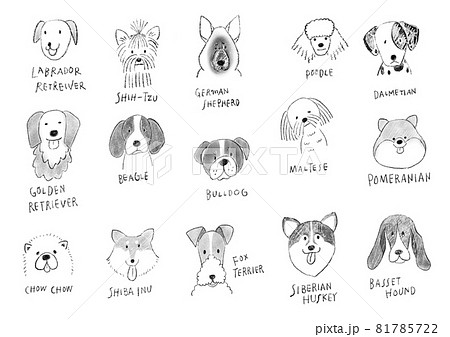 優しいタッチの手描きペットイラスト いろんな犬の品種のイラスト素材