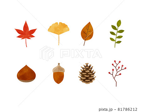 秋の落ち葉や木の実の素材のイラスト素材