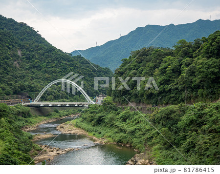 台湾 猫 ねこ 81786415