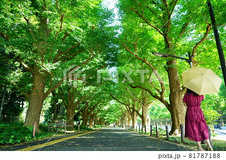 銀杏並木の木洩れ日の中で黄色い日傘をさした赤いワンピースの女性　右側 81787188