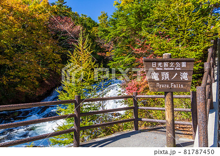 紅葉の奥日光・竜頭ノ滝 紅葉の奥日光・竜頭ノ滝 81787450