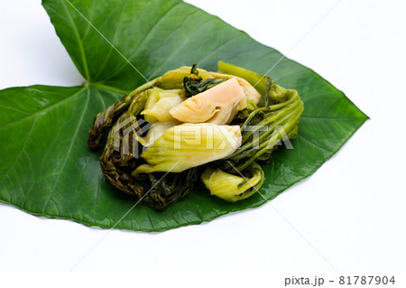 Pickled cabbage, Mustard Greens. Thai food style Pickled cabbage, Mustard Greens. Thai food style 81787904