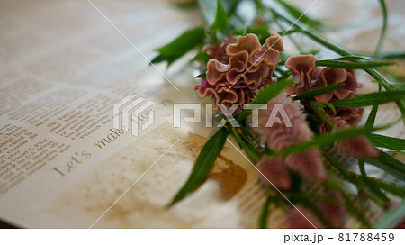英字新聞にのせられたケイトウなどの秋の色の花 英字新聞にのせられたケイトウなどの秋の色の花 81788459