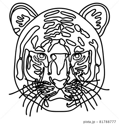 正面を向いた虎のシンプルな線画 白黒 のイラスト素材